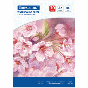 Бумага для акварели БОЛЬШАЯ А2, 10 л., 200 г/м2, 400х590 мм, BRAUBERG, "Цветы", 125223 за 271 ₽. Альбомы и бумага для акварели и масла. Доставка по России. Без переплат!