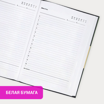 Ежедневник недатированный с резинкой А5 145х203 мм, BRAUBERG, твердый, 160 л., "Secret Emperor", 116304 за 339 ₽. Ежедневники с твердой обложкой. Доставка по России. Без переплат!