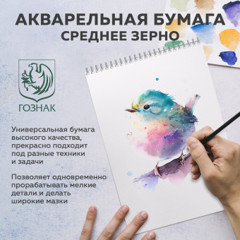 Бумага для акварели А4, 10 л., "НЕЗНАКОМКА", среднее зерно, 200г/м2, бумага ГОЗНАК, BRAUBERG ART CLASSIC, 112319 за 109 ₽. Альбомы и бумага для акварели и масла. Доставка по России. Без переплат!