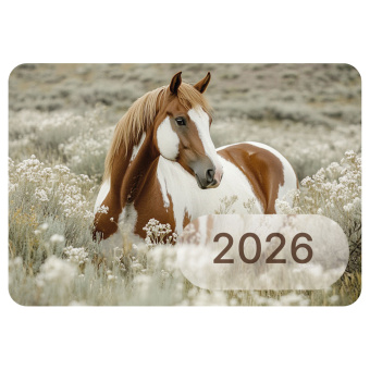 Календарь карманный на 2026 г, BRAUBERG, 64х93 мм, АССОРТИ №1, 20 видов, 117303 за 5 ₽. Календари карманные. Доставка по России. Без переплат!