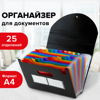 Папка-органайзер для бумаг и документов на резинке, 25 отделений, BRAUBERG DOCS, А4, черная, 271151 за 809 ₽. Папки пластиковые с отделениями. Доставка по России. Без переплат!