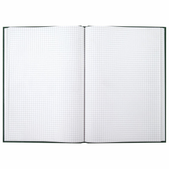 Книга учета 96 л., клетка, твердая, бумвинил, блок офсет, А4 (200х290 мм), BRAUBERG, зеленая, 130222 за 226 ₽. Книги учета универсальные. Доставка по России. Без переплат!