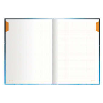 Блокнот БОЛЬШОЙ ФОРМАТ (215х295 мм) А4, 128 л., твердый, клетка, блок 4 цвета, BRAUBERG, "Бизнес", 111593 за 470 ₽. Блокноты в книжном переплете. Доставка по России. Без переплат!