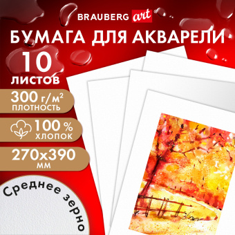 Бумага для акварели ХЛОПОК 100%, 300 г, 270x390 мм, среднее зерно, 10 листов, BRAUBERG ART PREMIERE, 115336 за 711 ₽. Альбомы и бумага для акварели и масла. Доставка по России. Без переплат!