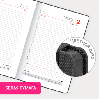 Ежедневник датированный 2025, А5, 138х213 мм, BRAUBERG "Plain", под кожу, резинка, держатель для ручки, черный, 115915 за 118 ₽. Ежедневники с покрытием "под кожу и ткань". Доставка по России. Без переплат!