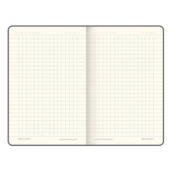 Блокнот МАЛЫЙ (100x150 мм) А6, BRAUBERG "Metropolis Special", под кожу, 80 л., клетка, красный, 111581 за 258 ₽. Бизнес-блокноты и бизнес-тетради. Доставка по России. Без переплат!