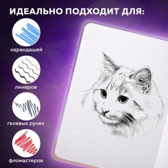 Скетчбук, белая бумага 80 г/м2, 145х203 мм, 80 л., резинка, твердый, BRAUBERG ART DEBUT "Корги", 114579 за 182 ₽. Альбомы, скетчбуки и бумага для графики и эскизов. Доставка по России. Без переплат!