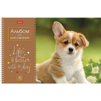 Альбом для рисования А4 40 л., спираль, обложка картон, HATBER, 205х290 мм, "Doggie-Щенки" (4 вида), 067478, 40А4Всп за 110 ₽. Альбомы и папки для рисования. Доставка по России. Без переплат!