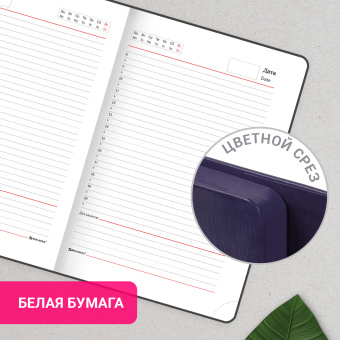 Ежедневник с магнитным клапаном недатированный, под кожу, А5, фиолетовый, BRAUBERG "Magnetic X", 113282 за 351 ₽. Ежедневники с покрытием "под кожу и ткань". Доставка по России. Без переплат!