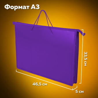 Папка для рисунков и чертежей ПИФАГОР А3, пластик, фиолетовая, 271136 за 261 ₽. Портфели и папки для рисунков и чертежей. Доставка по России. Без переплат!