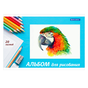 Альбом для рисования, А4, 20 л., скоба, обложка картон, BRAUBERG, 200х283 мм, "Я рисую мир" (2 вида), 104872 за 44 ₽. Альбомы и папки для рисования. Доставка по России. Без переплат!