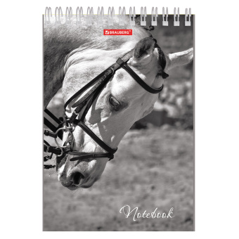 Блокнот А5, 146х205 мм, 60 л., гребень, картон, жесткая подложка, клетка, BRAUBERG, "Животные", 129810 за 68 ₽. Блокноты. Доставка по России. Без переплат!