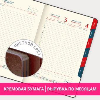 Ежедневник датированный 2026 А5 148х218 мм, GALANT "Magnetic", под кожу, клапан, коричневый, 117484 за 257 ₽. Ежедневники с покрытием "под кожу и ткань". Доставка по России. Без переплат!