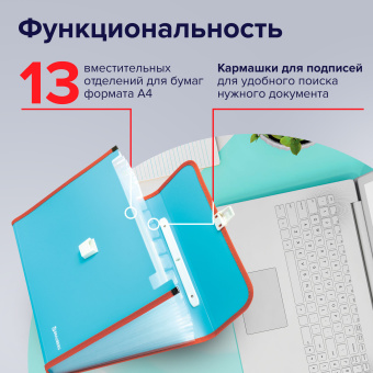 Папка-портфель пластиковая BRAUBERG "JOY", А4 (330х245х35 мм), 13 отделений, с окантовкой, бирюзовая, 227976 за 396 ₽. Портфели пластиковые. Доставка по России. Без переплат!