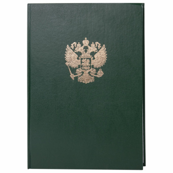 Книга учета 96 л., клетка, твердая, бумвинил, офсет, герб, А4 (200х290 мм), BRAUBERG, зеленая, 130277 за 241 ₽. Книги учета универсальные. Доставка по России. Без переплат!