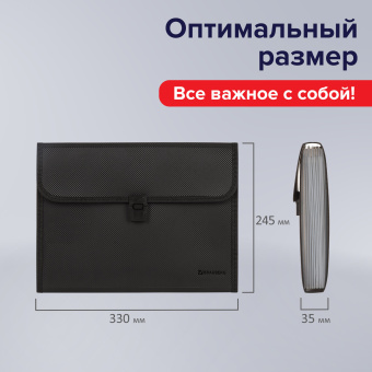 Папка для бумаг и документов с замком и 13 отделениями BRAUBERG "HIT", А4, пластик, черная, 229572 за 239 ₽. Папки пластиковые с отделениями. Доставка по России. Без переплат!