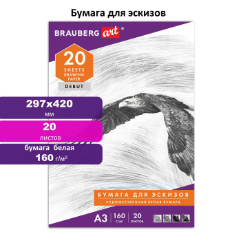 Папка для рисования БОЛЬШОГО ФОРМАТА А3, 20 л., 160 г/м2, BRAUBERG, 297х420 мм, "Орел", 125228 за 168 ₽. Альбомы, скетчбуки и бумага для графики и эскизов. Доставка по России. Без переплат!