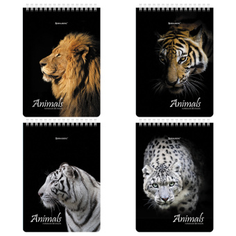 Блокнот А5 (146х206 мм), 80 л., гребень, картон, жесткая подложка, клетка, BRAUBERG, "Хищники", 114385 за 54 ₽. Блокноты. Доставка по России. Без переплат!