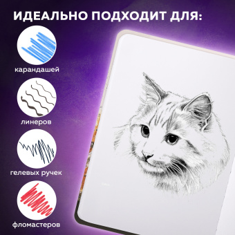 Скетчбук, белая бумага 80 г/м2, 145х203 мм, 80 л., резинка, твердый, BRAUBERG ART DEBUT "Тигр", 114580 за 182 ₽. Альбомы, скетчбуки и бумага для графики и эскизов. Доставка по России. Без переплат!