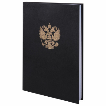 Книга учета 96 л., клетка, твердая, бумвинил, офсет, герб, А4 (200х290 мм), BRAUBERG, черная, 130275 за 241 ₽. Книги учета универсальные. Доставка по России. Без переплат!