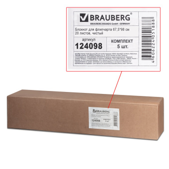 Блокноты для флипчарта ПЛОТНЫЕ 80 г/м2, BRAUBERG, 67,5х98 см, КОМПЛЕКТ 5 шт., 20 л., чистые, 124098 за 2&nbsp;160 ₽. Блокноты для флипчартов. Доставка по России. Без переплат!