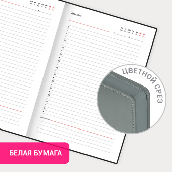 Ежедневник недатированный А5 138х213 мм, BRAUBERG "Safari", под кожу, магнит, 160 л., Snake, серый, 116594 за 547 ₽. Ежедневники с покрытием "под кожу и ткань". Доставка по России. Без переплат!