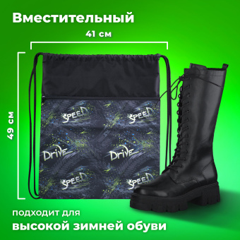 Мешок для обуви BRAUBERG БОЛЬШОЙ, с ручкой, карман на молнии, сетка, 49х41 см, "Drive", 271060 за 518 ₽. Мешки для обуви. Доставка по России. Без переплат!