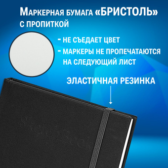 Скетчбук для графики и маркеров, "БРИСТОЛЬ" 200 г/м2, 140х210 мм, 32 листа, КОЖЗАМ, BRAUBERG ART PREMIERE, Черный, 115099 за 338 ₽. Альбомы, скетчбуки и бумага для графики и эскизов. Доставка по России. Без переплат!