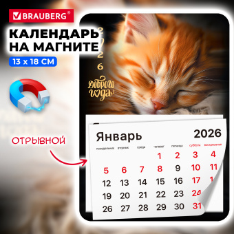 Календарь отрывной на магните на 2026 г., BRAUBERG, 130x180 мм, склейка, "Котик", 117289 за 53 ₽. Календари настенные. Доставка по России. Без переплат!