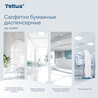 Салфетки Tellus/TORK (Система N4) Xpressnap Universal, 2-слойные, КОМПЛЕКТ 20 шт., 200 шт., белые, 10844 за 4&nbsp;039 ₽. Салфетки для настольных диспенсеров. Доставка по России. Без переплат!