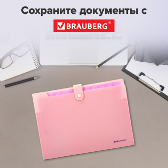 Папка-органайзер на кнопке 12 отделений, BRAUBERG "Extra", А4, персиковая с лавандовым, 271931 за 236 ₽. Папки пластиковые с отделениями. Доставка по России. Без переплат!