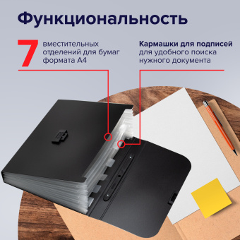 Папка-портфель пластиковая BRAUBERG "Energy" А4 (330х256х32 мм), 7 отделений, черная, 221204 за 433 ₽. Портфели пластиковые. Доставка по России. Без переплат!