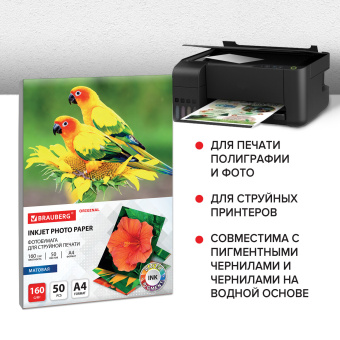 Фотобумага матовая, А4, 160 г/м2, односторонняя, 50 листов, BRAUBERG ORIGINAL, 363985 за 331 ₽. Фотобумага. Доставка по России. Без переплат!