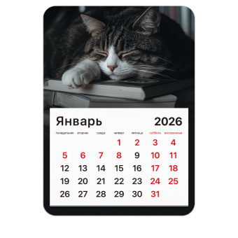 Календарь отрывной на магните на 2026 г., BRAUBERG, 130x180 мм, склейка, "Спящий кот", 117292 за 53 ₽. Календари настенные. Доставка по России. Без переплат!