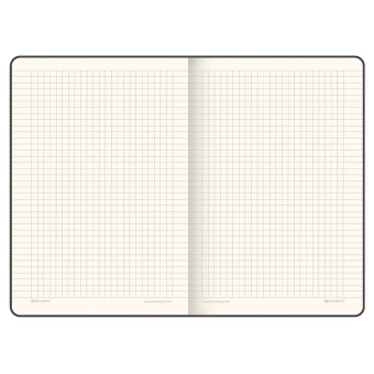 Блокнот А5 (148х218 мм), BRAUBERG "Income", 128 л., гладкий кожзаменитель, клетка, черный, 125208 за 573 ₽. Бизнес-блокноты и бизнес-тетради. Доставка по России. Без переплат!