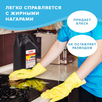 Средство для чистки плит, духовок, грилей от жира/нагара 3 л, АНТИЖИР LAIMA, 601614 за 651 ₽. Чистящие и моющие средства для кухни. Доставка по России. Без переплат!