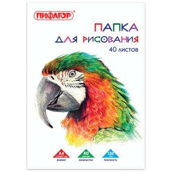 Папка для рисования, А4, 40 л., 120 г/м2, ПИФАГОР, 210х297 мм, "Попугай", 129222 за 137 ₽. Альбомы и папки для рисования. Доставка по России. Без переплат!