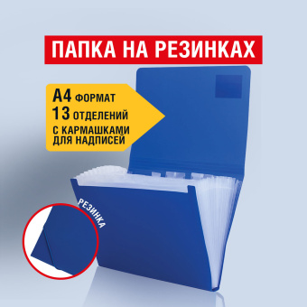 Папка на резинках BRAUBERG "Business", А4, 13 отделений, пластиковый индекс, синяя, 0,5 мм, 224146 за 330 ₽. Папки пластиковые с отделениями. Доставка по России. Без переплат!