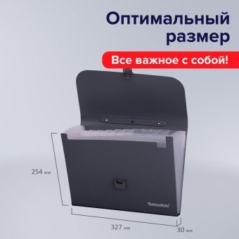 Папка-портфель пластиковая BRAUBERG А4 (327х254х30 мм), 13 отделений, серая, 221438 за 709 ₽. Портфели пластиковые. Доставка по России. Без переплат!