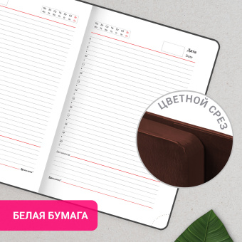 Ежедневник с магнитным клапаном недатированный, под кожу, А5, коричневый, BRAUBERG "Magnetic X", 113280 за 706 ₽. Ежедневники с покрытием "под кожу и ткань". Доставка по России. Без переплат!
