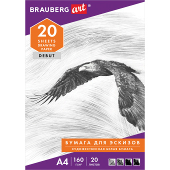 Папка для рисования А4, 20 л., 160 г/м2, BRAUBERG, 210х297 мм, "Орел", 125230 за 87 ₽. Альбомы, скетчбуки и бумага для графики и эскизов. Доставка по России. Без переплат!