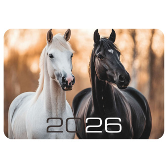 Календарь карманный на 2026 г, BRAUBERG, 64х93 мм, АССОРТИ №2, 20 видов, 117304 за 5 ₽. Календари карманные. Доставка по России. Без переплат!