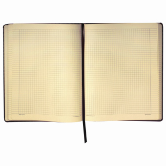 Блокнот БОЛЬШОЙ ФОРМАТ (200х252 мм) В5, BRAUBERG "Income", кожзам, 128 л., клетка, черный, 125204 за 797 ₽. Бизнес-блокноты и бизнес-тетради. Доставка по России. Без переплат!