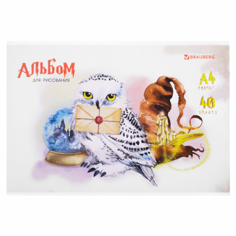 Альбом для рисования А4 40 л., скоба, обложка картон, BRAUBERG, 203х288 мм, "Магия" (2 вида), 106706 за 75 ₽. Альбомы и папки для рисования. Доставка по России. Без переплат!