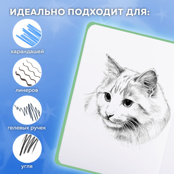 Скетчбук, белая бумага 80 г/м2, 145х203 мм, 80 л., резинка, твердый, FUNSTER (ФАНСТЕР), Гусь "Че смотришь?", 116891 за 200 ₽. Альбомы, скетчбуки и бумага для графики и эскизов. Доставка по России. Без переплат!