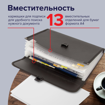 Папка для бумаг и документов с замком и 13 отделениями BRAUBERG "HIT", А4, пластик, черная, 229572 за 239 ₽. Папки пластиковые с отделениями. Доставка по России. Без переплат!