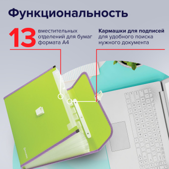 Папка-портфель пластиковая BRAUBERG "JOY", А4 (330х245х35 мм), 13 отделений, с окантовкой, салатовая, 227974 за 507 ₽. Портфели пластиковые. Доставка по России. Без переплат!