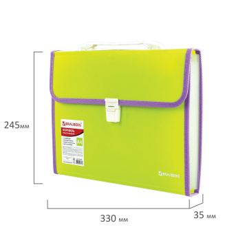 Папка-портфель пластиковая BRAUBERG "JOY", А4 (330х245х35 мм), 13 отделений, с окантовкой, салатовая, 227974 за 640 ₽. Портфели пластиковые. Доставка по России. Без переплат!