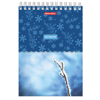 Блокнот А5, 146х205 мм, 60 л., гребень, картон, жесткая подложка, клетка, BRAUBERG, "Четыре сезона", 129811 за 54 ₽. Блокноты. Доставка по России. Без переплат!