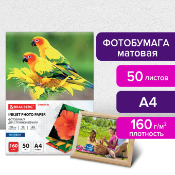 Фотобумага матовая, А4, 160 г/м2, односторонняя, 50 листов, BRAUBERG ORIGINAL, 363985 за 331 ₽. Фотобумага. Доставка по России. Без переплат!